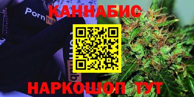 стаф Гусев