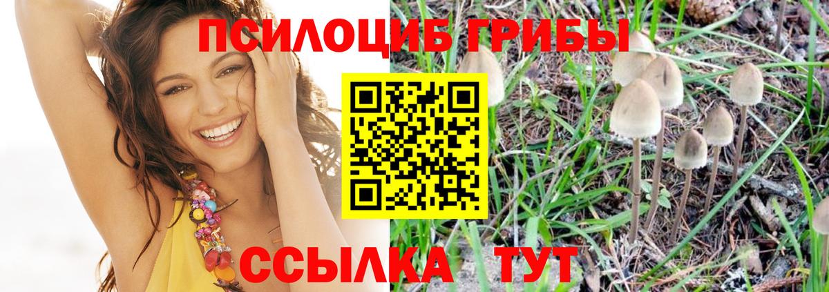Псилоцибиновые грибы GOLDEN TEACHER Нижнеудинск