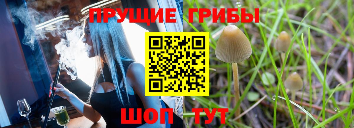 Нижнеудинск  Галлюциногенные грибы Magic Shrooms  Галлюциногенные грибы ЛСД  Вход с VPN 